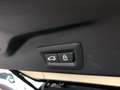 BMW X5 xdrive25d Business auto Grigio - thumbnail 29