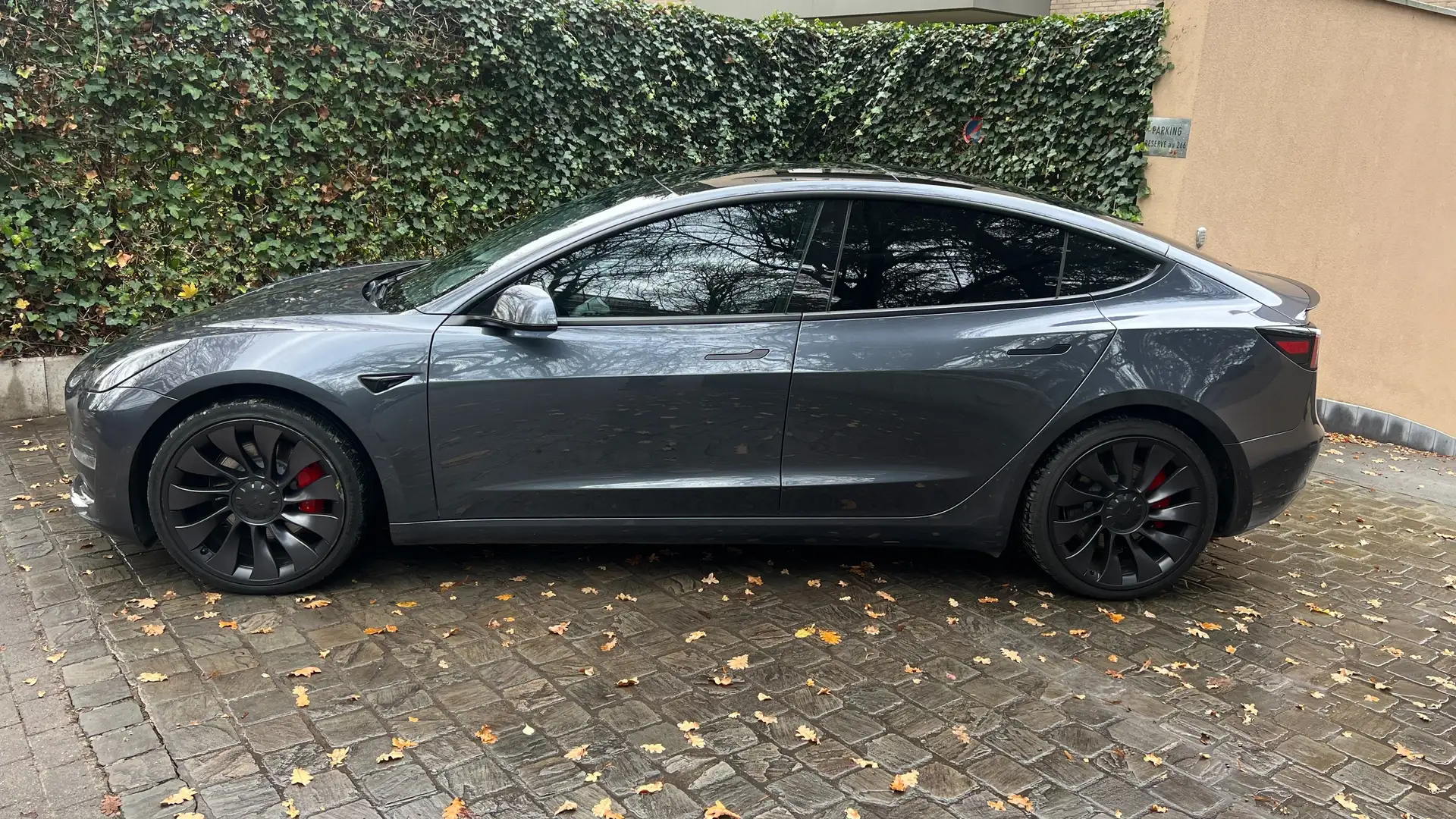 Tesla Model 3 Model 3 78 kWh AWD Performance (377 kW) Noir - 1
