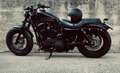 Harley-Davidson Sportster Forty Eight - thumbnail 3