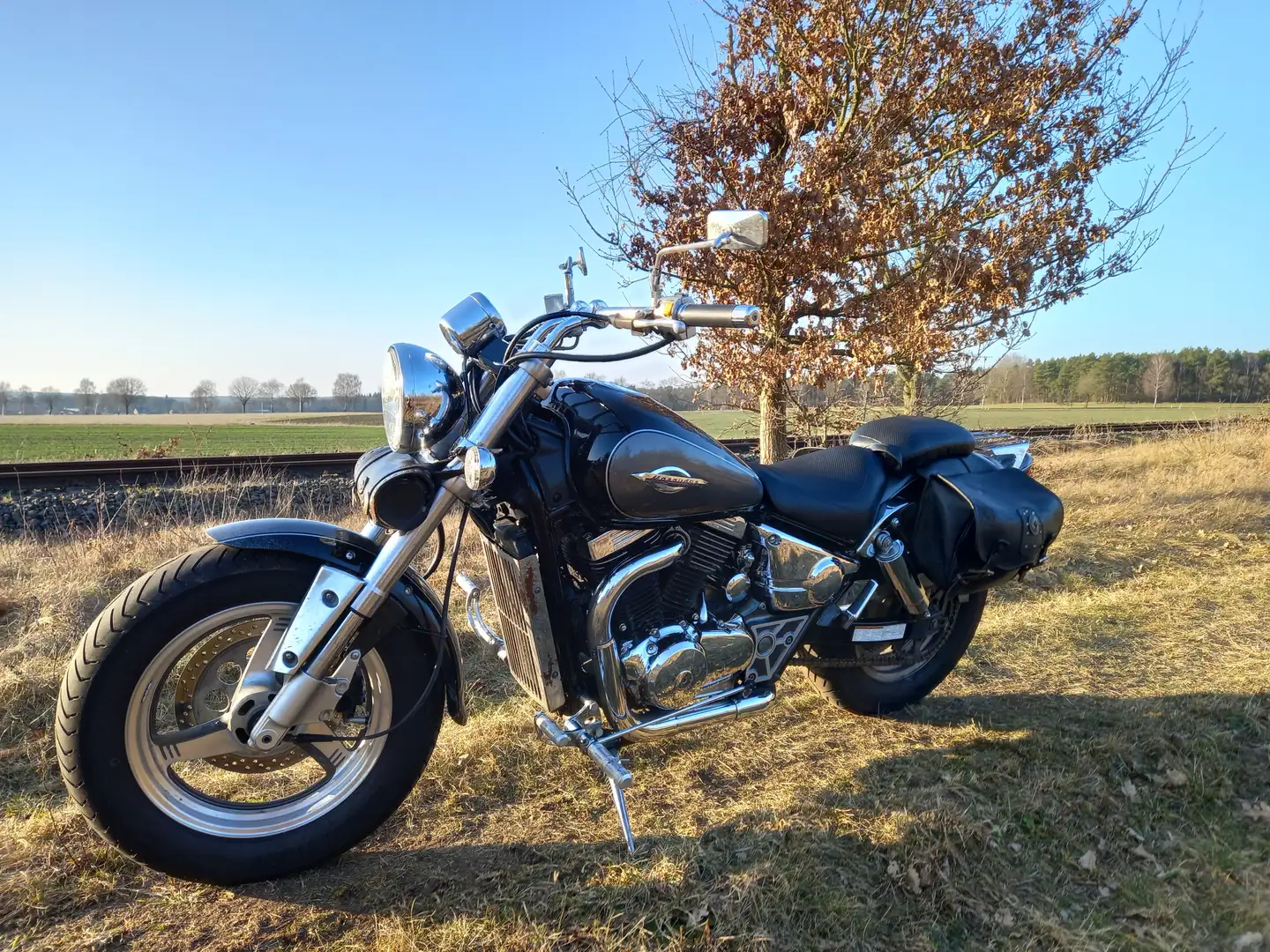 Suzuki VZ 800 Marauder Grau - 2