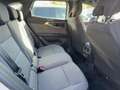 Renault Austral Equilibre Mild Winterpaket*Allwetter Weiß - thumbnail 8