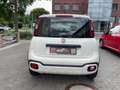Fiat Panda Waze | Cross | 1.Hand | Euro 6 | HU NEU Weiß - thumbnail 5