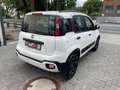 Fiat Panda Waze | Cross | 1.Hand | Euro 6 | HU NEU Weiß - thumbnail 4