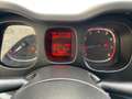 Fiat Panda Waze | Cross | 1.Hand | Euro 6 | HU NEU Weiß - thumbnail 16