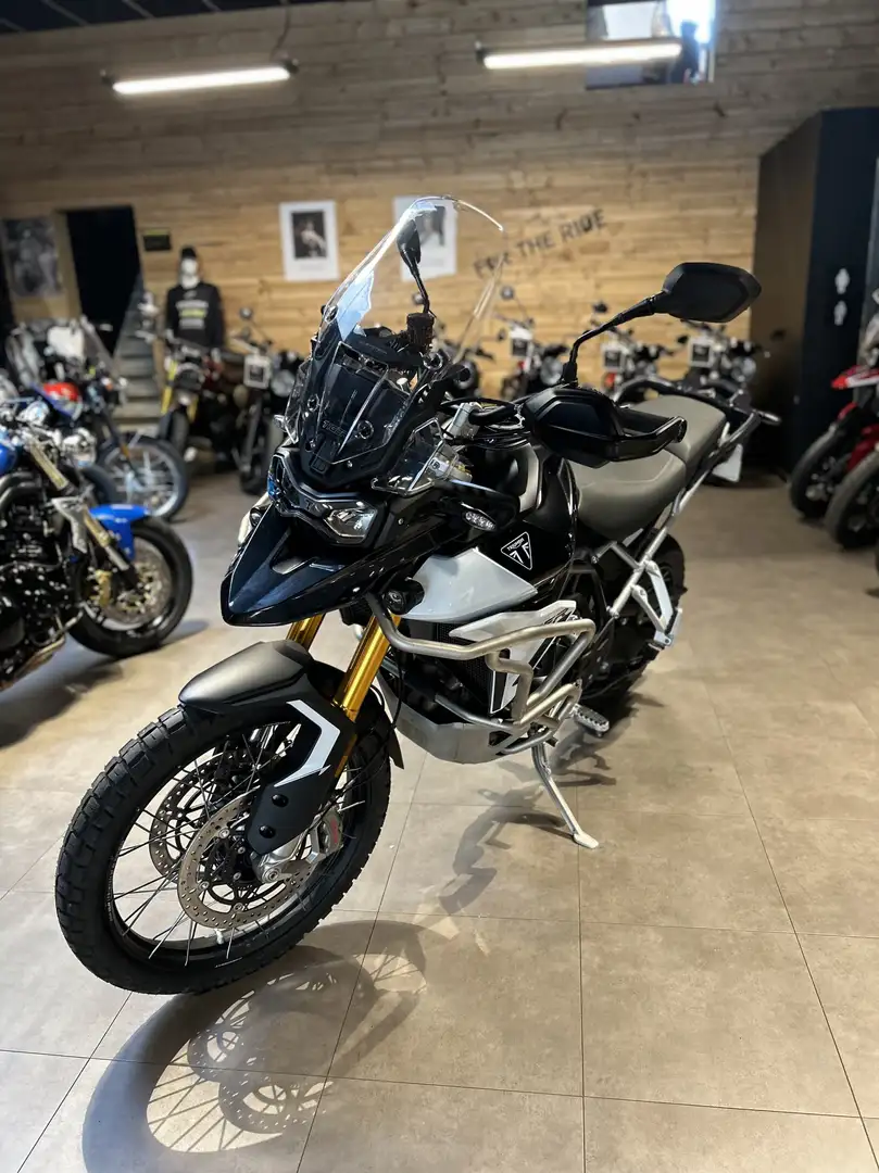 Triumph Tiger 900 - 2