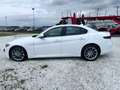 Alfa Romeo Giulia Giulia 2.2 t Executive 190cv my19 Weiß - thumbnail 8