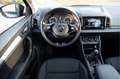 Skoda Karoq 1.0 TSI Business Edition | Navi by App | Trekhaak Blauw - thumbnail 19