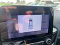 Ford Fiesta 1.1 75 CV 5 porte Titanium Bianco - thumbnail 6