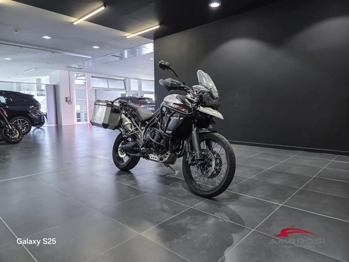 Triumph Tiger 800 800 xcx Grigio - 2