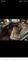 Mercedes-Benz GLE 350 d Coupé 4MATIC Aut. - thumbnail 8