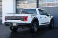 Ford F 150 3.5L V6 RAPTOR 4x4/ACC/B&O/360/AHK/SHZ/SBL Blanc - thumbnail 6