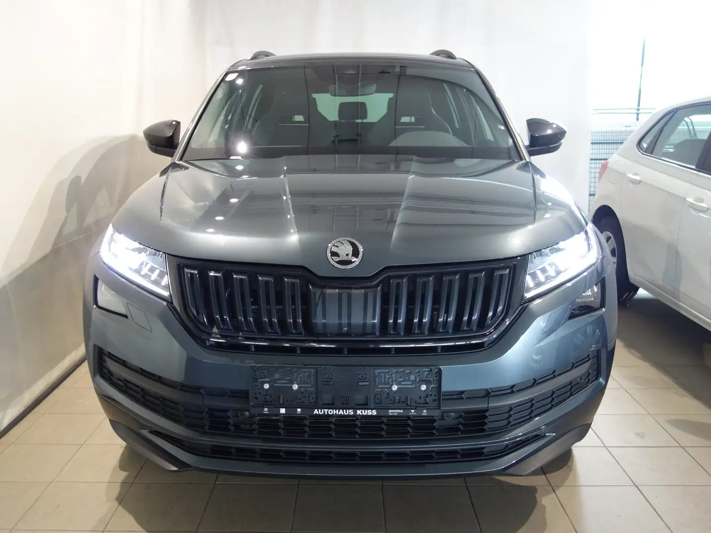 Skoda Kodiaq Sportline 4x4 TDI DSG Grau - 2
