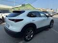 Mazda CX-30 CX-30 2.0 m-hybrid 2wd 122cv 6mt Gris - thumbnail 4