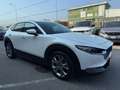 Mazda CX-30 CX-30 2.0 m-hybrid 2wd 122cv 6mt Gris - thumbnail 3