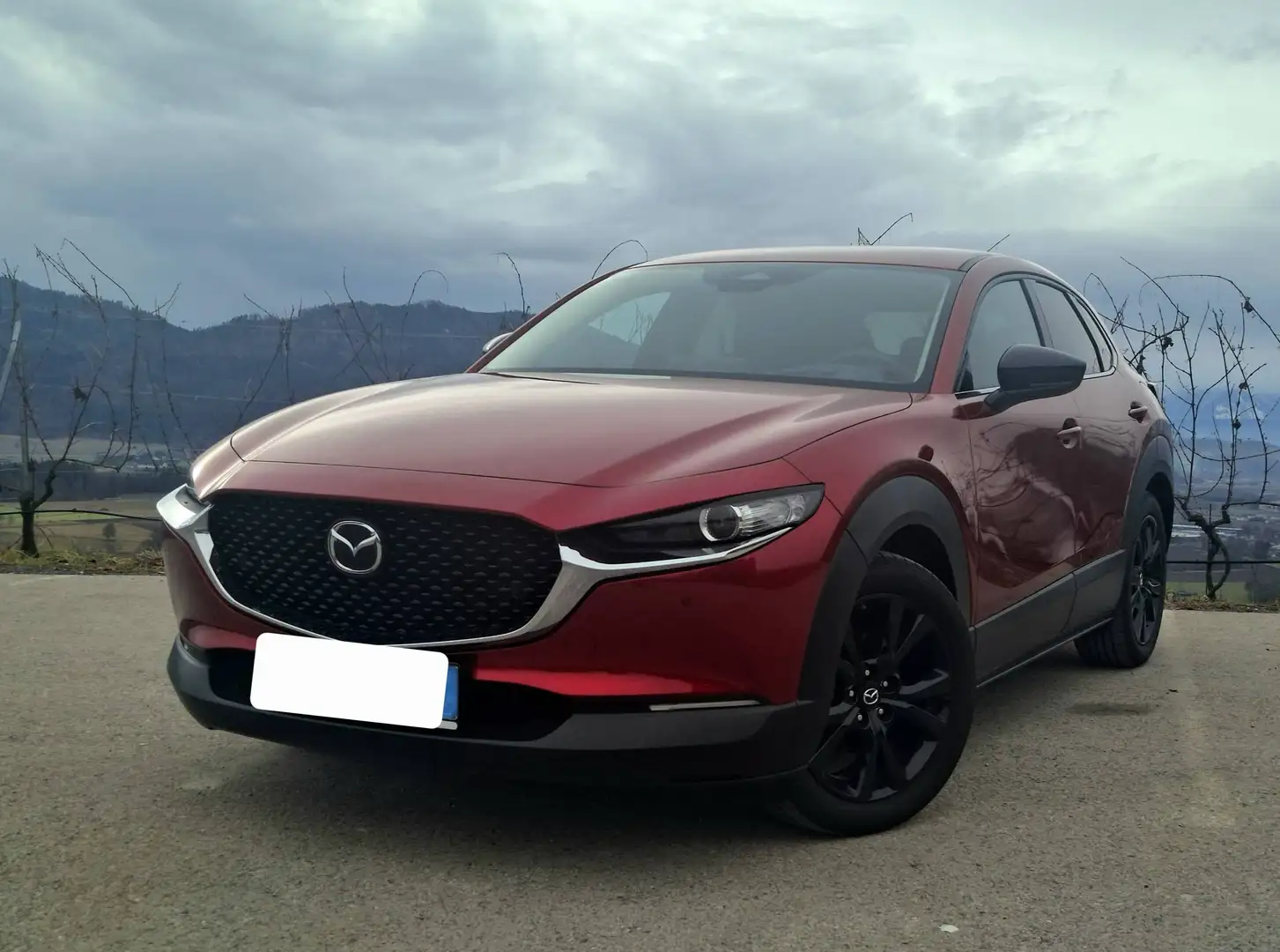 Mazda CX-30 CX-30 e-Skyactive-X 186 Homura Homura Rot - 1