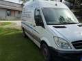 Mercedes-Benz Sprinter Sprinter 316 CDI 3,5 t / 3.250 mm Weiß - thumbnail 2