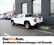 Volkswagen Amarok TDI 4MOTION Blanc - thumbnail 4