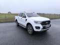 Ford Ranger Wildtrak Doppelkabine 4x4 Anhängevorrichtung Weiß - thumbnail 5