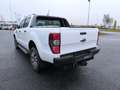 Ford Ranger Wildtrak Doppelkabine 4x4 Anhängevorrichtung Weiß - thumbnail 11