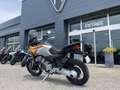 Moto Guzzi Stelvio Żółty - thumbnail 6