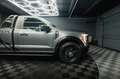 Ford F 150 F150 3.3 V6 Offroad Raptor Singlecab Longbed 19% Gris - thumbnail 15