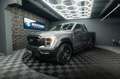 Ford F 150 F150 3.3 V6 Offroad Raptor Singlecab Longbed 19% Gris - thumbnail 1