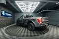 Ford F 150 F150 3.3 V6 Offroad Raptor Singlecab Longbed 19% Gris - thumbnail 20