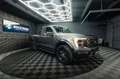 Ford F 150 F150 3.3 V6 Offroad Raptor Singlecab Longbed 19% Gris - thumbnail 7