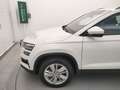 Skoda Karoq Karoq 2.0 TDI SCR DSG Executive Bianco - thumbnail 8