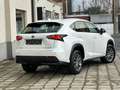 Lexus NX 300h NX 300h 2.5i Business Edition E-CVT Blanc - thumbnail 3