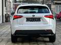 Lexus NX 300h NX 300h 2.5i Business Edition E-CVT Blanc - thumbnail 6