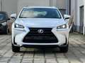 Lexus NX 300h NX 300h 2.5i Business Edition E-CVT Blanc - thumbnail 5