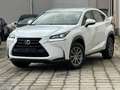 Lexus NX 300h NX 300h 2.5i Business Edition E-CVT Blanc - thumbnail 1