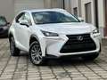 Lexus NX 300h NX 300h 2.5i Business Edition E-CVT Blanc - thumbnail 2
