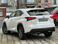 Lexus NX 300h NX 300h 2.5i Business Edition E-CVT Blanc - thumbnail 4