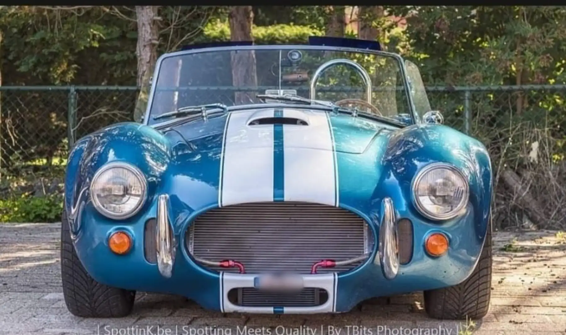 AC Cobra 427 Blu/Azzurro - 2