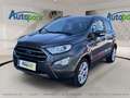 Ford EcoSport TITANIUM Grau - thumbnail 1