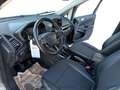 Ford EcoSport TITANIUM Grau - thumbnail 14