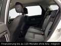 Land Rover Discovery Sport Pure/AHK/Alu/Allrad/Sitzheizung/ Weiß - thumbnail 15