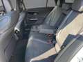 Mercedes-Benz C 220 d 4MATIC T-Modell Österreich-Edition SpurW Weiß - thumbnail 9