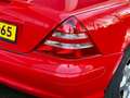 Mercedes-Benz SLK 230 K. | Facelift Rood - thumbnail 6