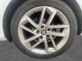 SEAT Leon Leon 1.4 TSI 150 Start/Stop ACT FR Blanc - thumbnail 15
