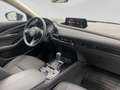Mazda CX-30 e-Skyactive G150 Homura Aut. Blau - thumbnail 21