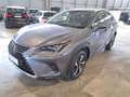 Lexus NX 300h 2.5 Luxury 4WD Gris - thumbnail 2