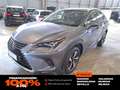 Lexus NX 300h 2.5 Luxury 4WD Gris - thumbnail 1
