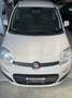 Fiat Panda Panda 1.2 Pop 69cv E6 Beige - thumbnail 17