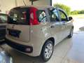 Fiat Panda Panda 1.2 Pop 69cv E6 Beige - thumbnail 5