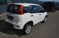 Fiat Panda 4x4 0,9 TwinAir Turbo 85 4x4 Pop KLIMA SH BT FS... Blanc - thumbnail 7