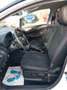 Ford EcoSport 1.5 TDCI-St-Line.Klima.Navi.Kamera.Xenon.SHZ.PDC Weiß - thumbnail 10