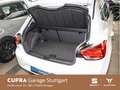 SEAT Ibiza 1.0 TSI *KLIMA* *SHZ* *EPH* Weiß - thumbnail 13